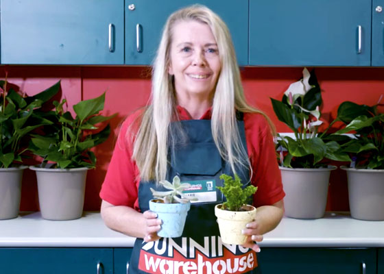 Learn how to do it yourself at Bunnings